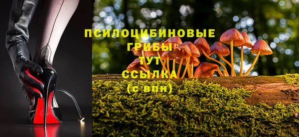 mdpv Майский