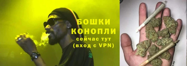 винт Магас