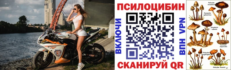 Купить  Пролетарск  Галлюциногенные грибы прущие грибы 